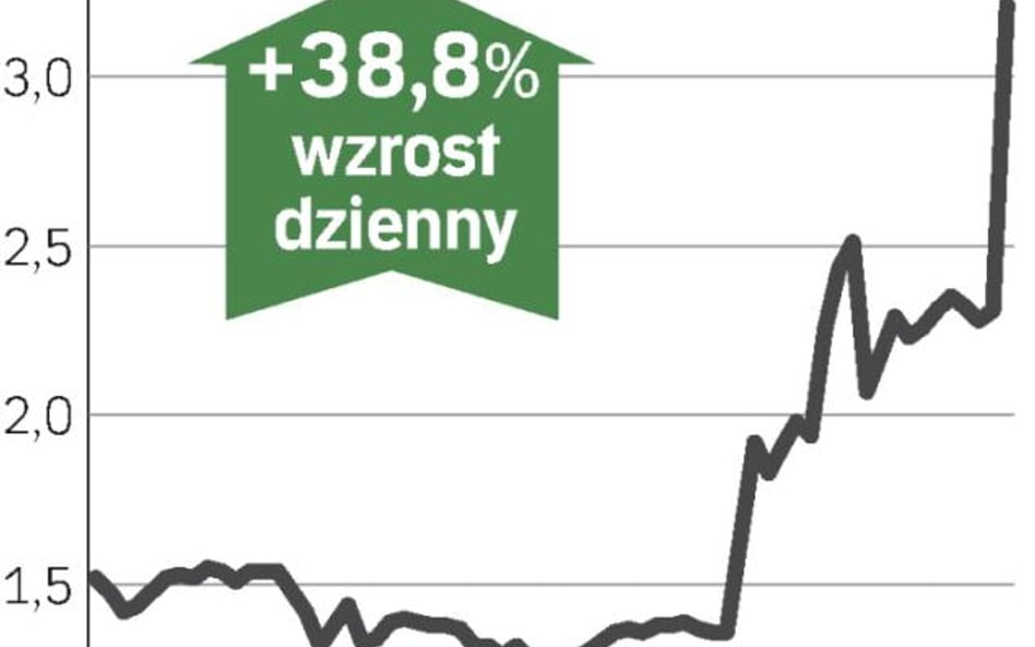 Wzrost napędzany gwarancjami