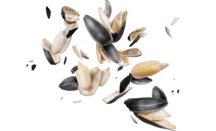 Rzucił na chodnik łupinę słonecznika. Stanął przed sądem