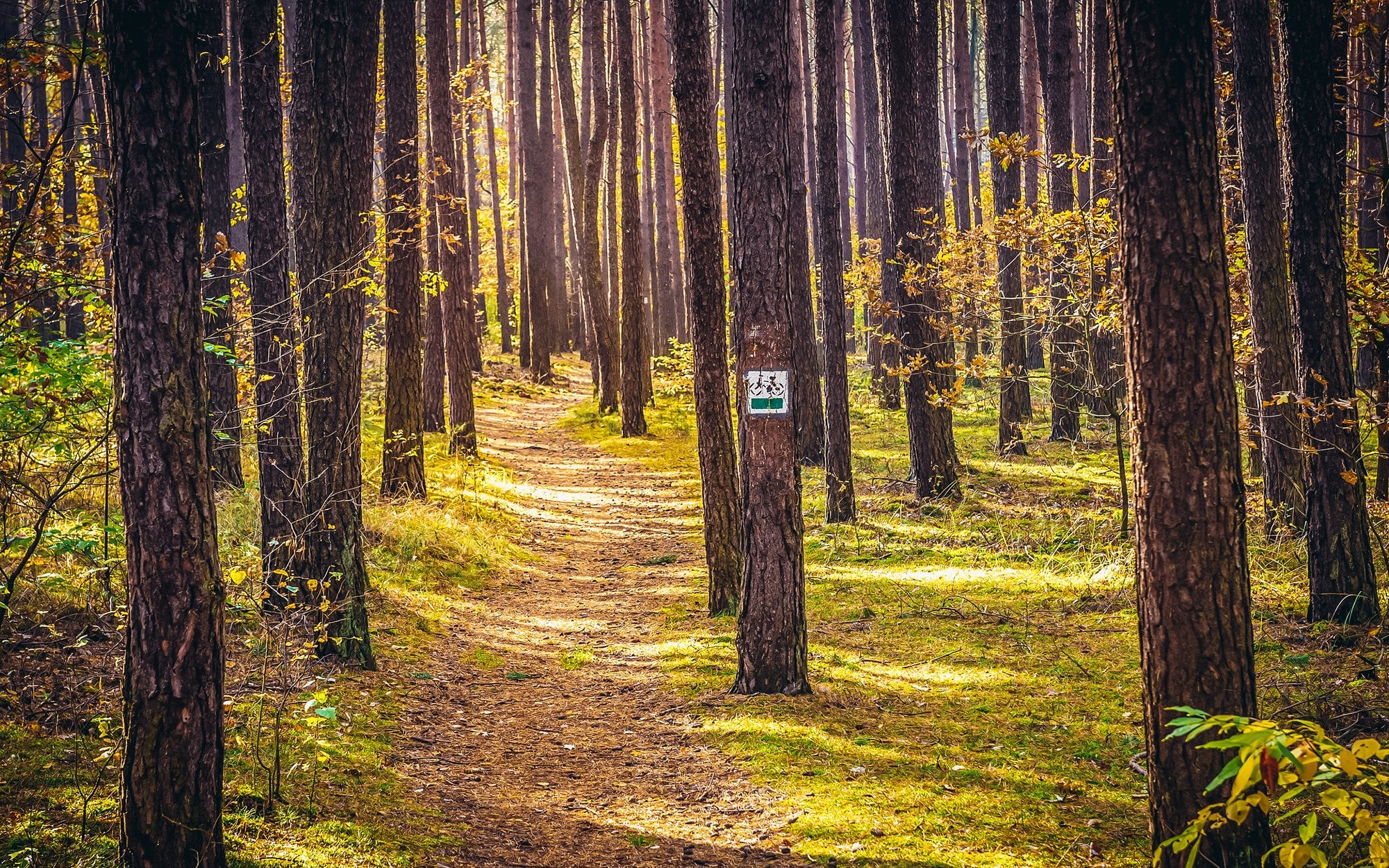 Kalendarium - czwartek 2 kwietnia