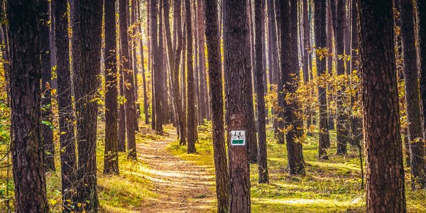 Kalendarium - czwartek 2 kwietnia