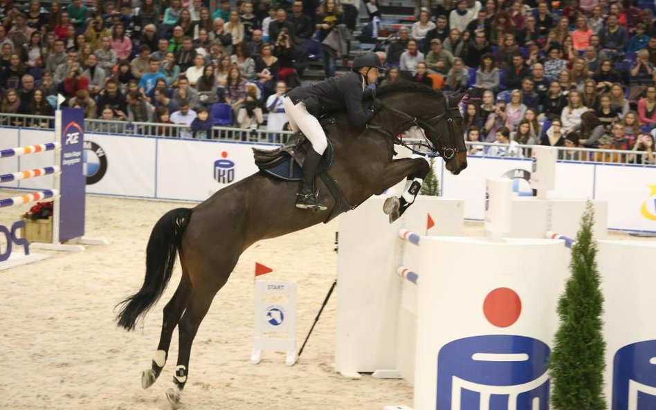Cavaliada, czyli 300 koni w Lublinie