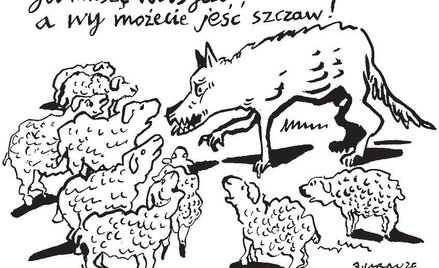 Komentarz rysunkowy. Możecie jeść szczaw