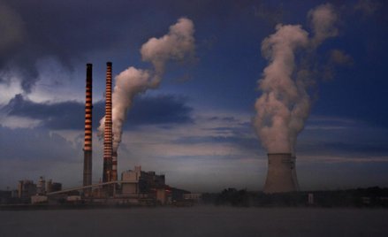 PGE bierze większość EDF