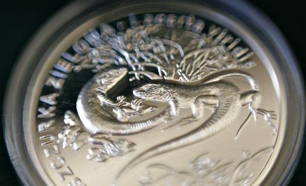 Zakupy w sieci w NBP