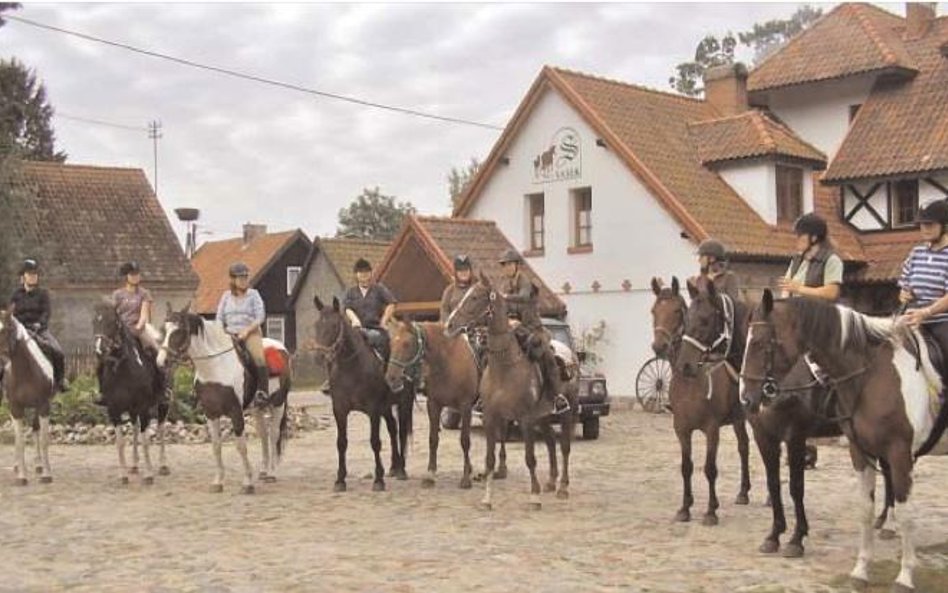 Na konie ze stadniny w Sasku Małym czekają galopy przez puszcze i łąki