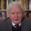 David Attenborough w ONZ: cywilizacja jest bliska załamania