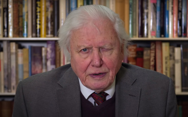 David Attenborough w ONZ: cywilizacja jest bliska załamania