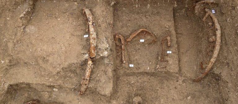 Archeolodzy odkryli grób „księcia-wojownika” sprzed 2500 lat. Spoczywał z rydwanem i hełmem