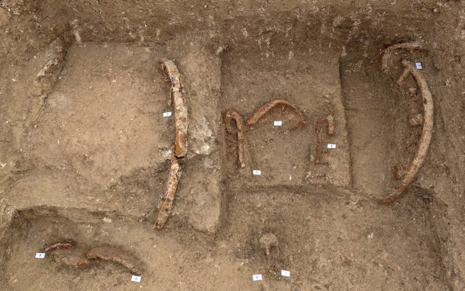 Pozostałości rydwanu odkrywane przez archeologów