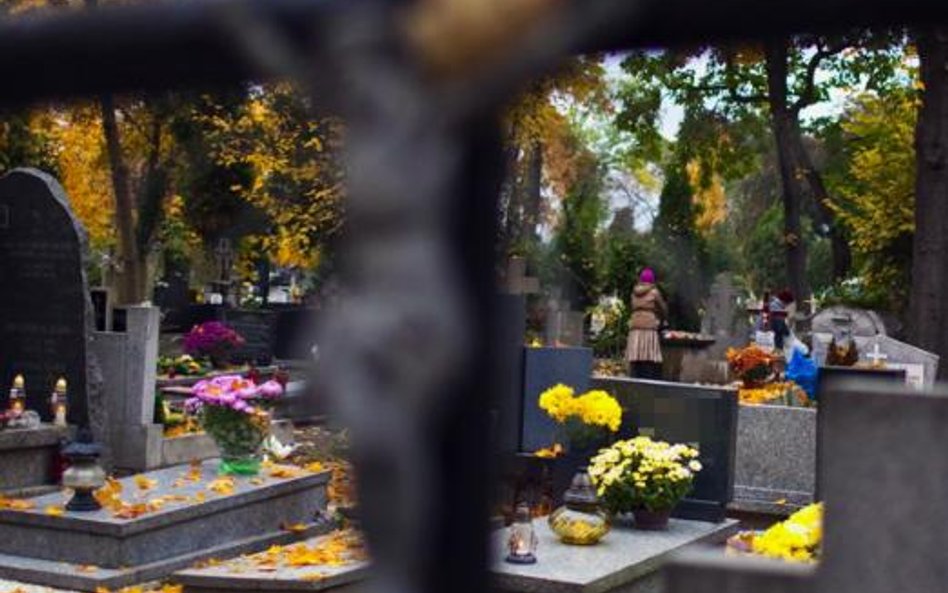Na wrocławskich cmentarzach można zapalić świeczkę za tych, których groby zostały za wschodnią grani