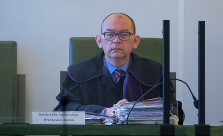 Sędzia Przemysław Radzik