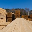 Szybujące ceny drewna biją w podstawy drzewnego biznesu. Fot. shutterstock
