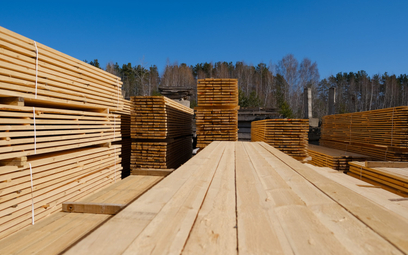 Szybujące ceny drewna biją w podstawy drzewnego biznesu. Fot. shutterstock