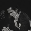 Nick Cave