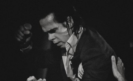Nick Cave