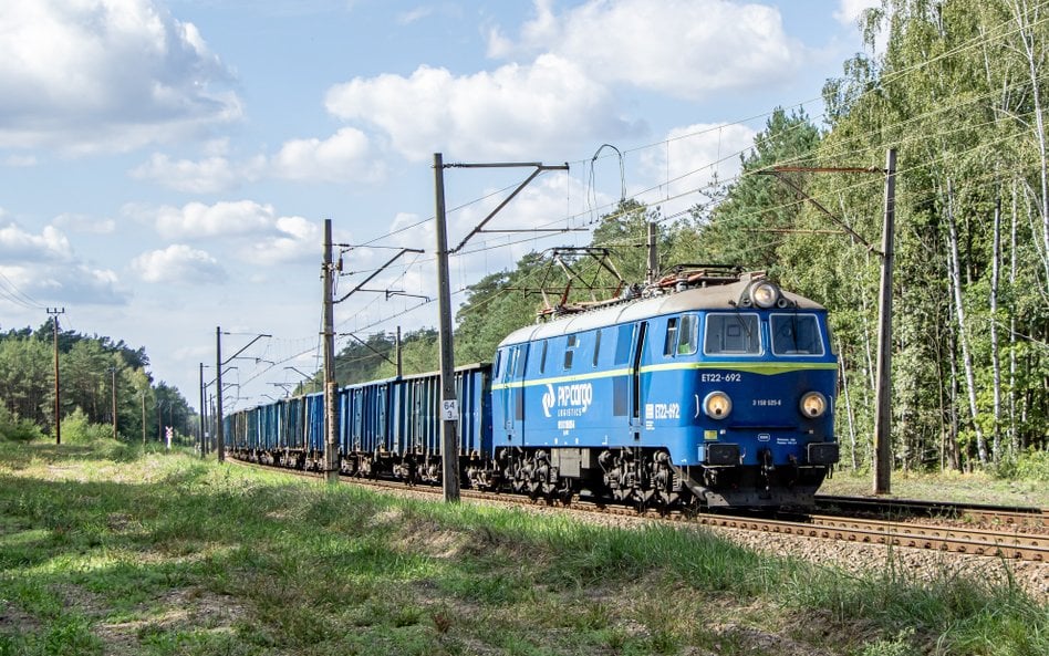 W ubiegłym roku po polskich torach przewieziono 223,5 mln t różnego rodzaju ładunków. To najmniej od