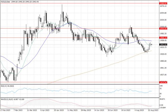 Notowania złota – dane dzienne