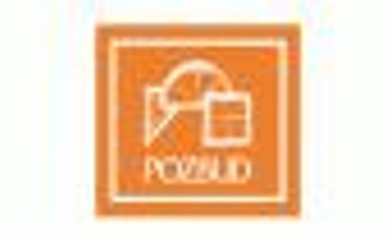 Pozbud - raport za 1. kwartał 2010 (jednostkowy)