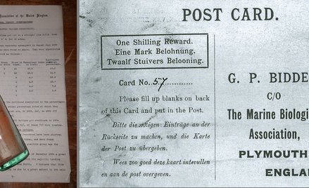 Niemcy: Wiadomość w butelce sprzed 108 lat