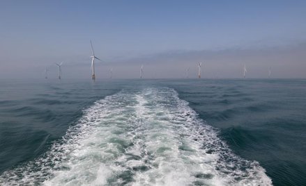 Polska ma największy potencjał rozwoju morskiej energetyki wiatrowej spośród wszystkich krajów leżąc