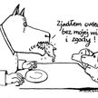 Komentarz rysunkowy