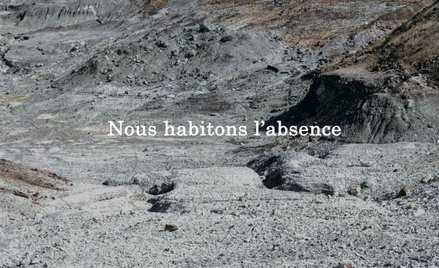 Michel Houellebecq, „Napisy #012”
