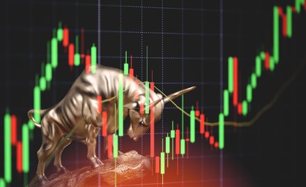 Byki tygodnia, czyli spółki z pozytywnymi sygnałami analizy technicznej