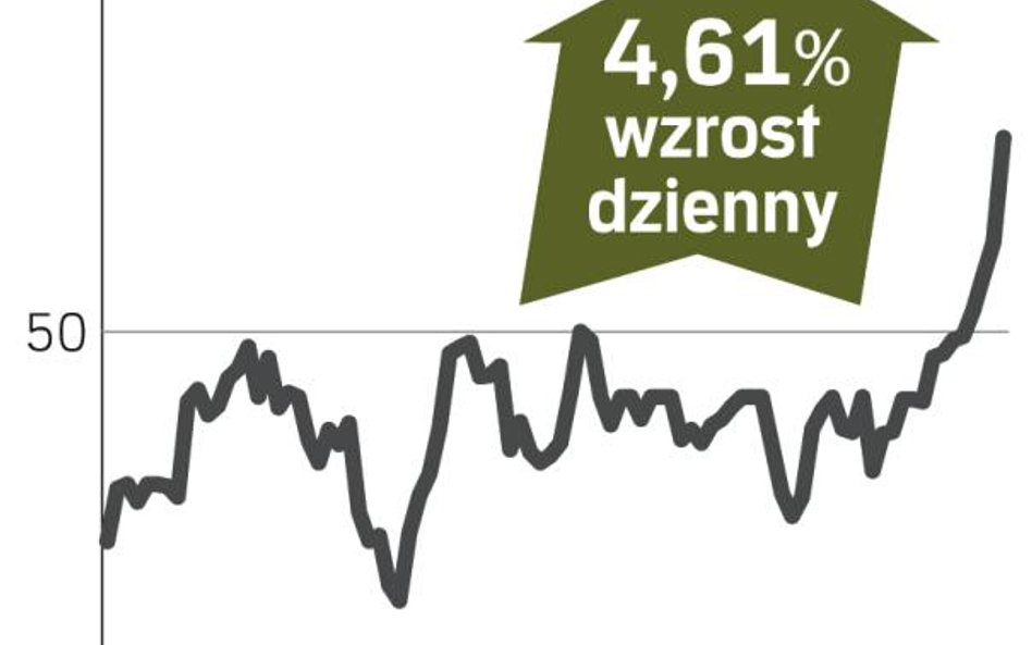 Papiery Asseco Poland najdroższe od roku