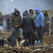 Grupa migrantów na terenie Białorusi w pobliżu granicy z Polską