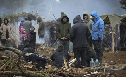 Grupa migrantów na terenie Białorusi w pobliżu granicy z Polską