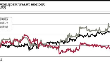 Złoty najsilniejszy w regionie