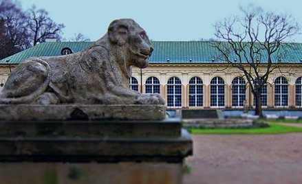 Na dziedzińcu przy Starej Pomarańczarni szef Łazienek chce budować szklany pawilon porównywany z pir