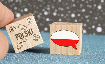 Czy usługa nauczania obcokrajowców języka polskiego jest zwolniona z VAT