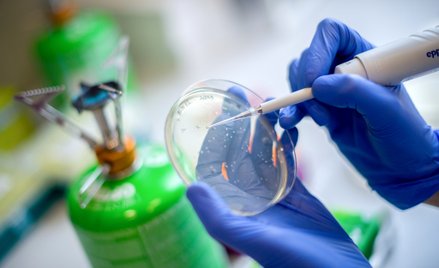 Captor bliżej leku na stwardnienie rozsiane. Akcje drożeją