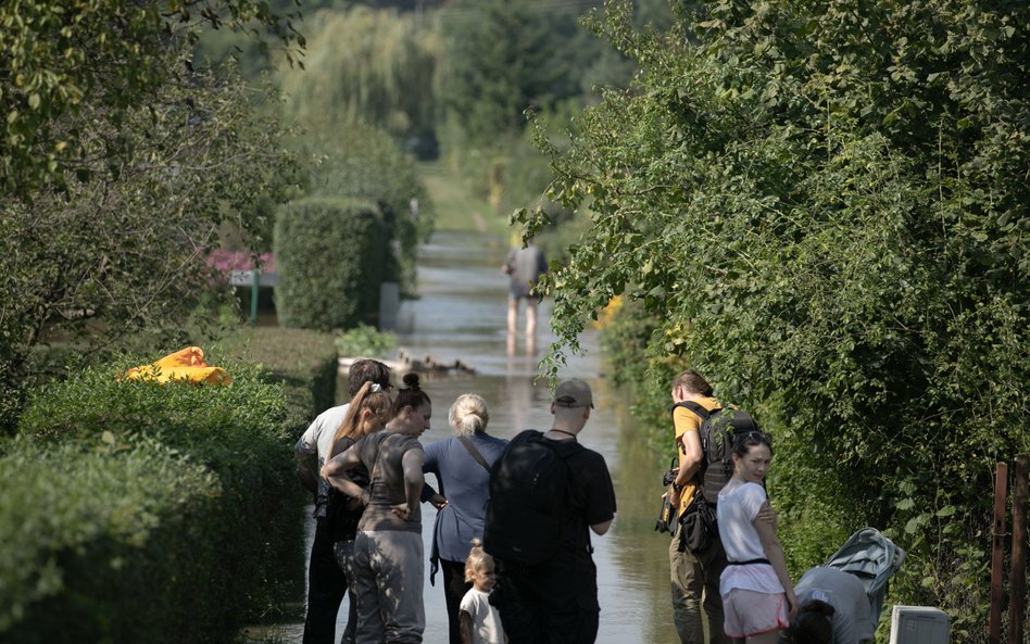 Zalane ogródki działkowe na wrocławskim osiedlu Marszowice.