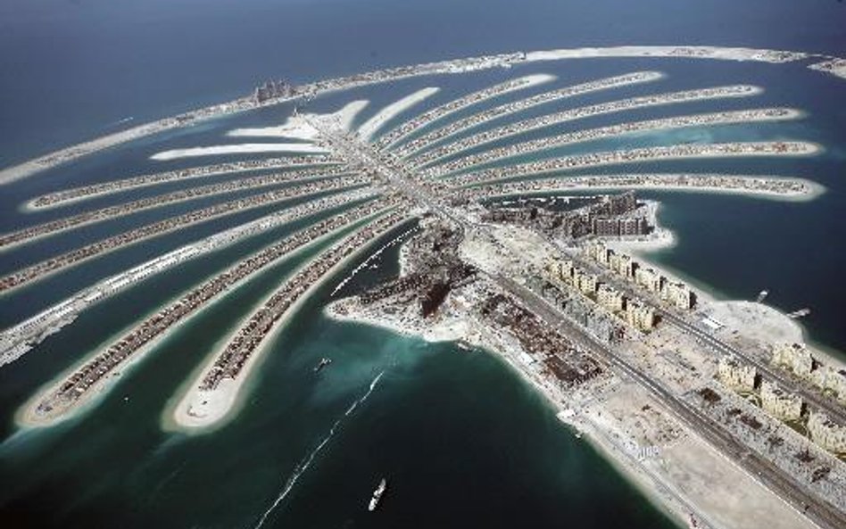 Dubaj wznawia pojekty budowlane
