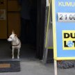 Kumulacja z kłopotami