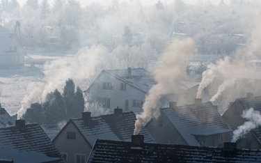 Rzecznik generalna TSUE: obywatele UE mogą pozywać państwa za smog