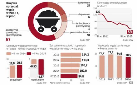 Energetyka zawodowa jest głównym odbiorcą polskiego węgla