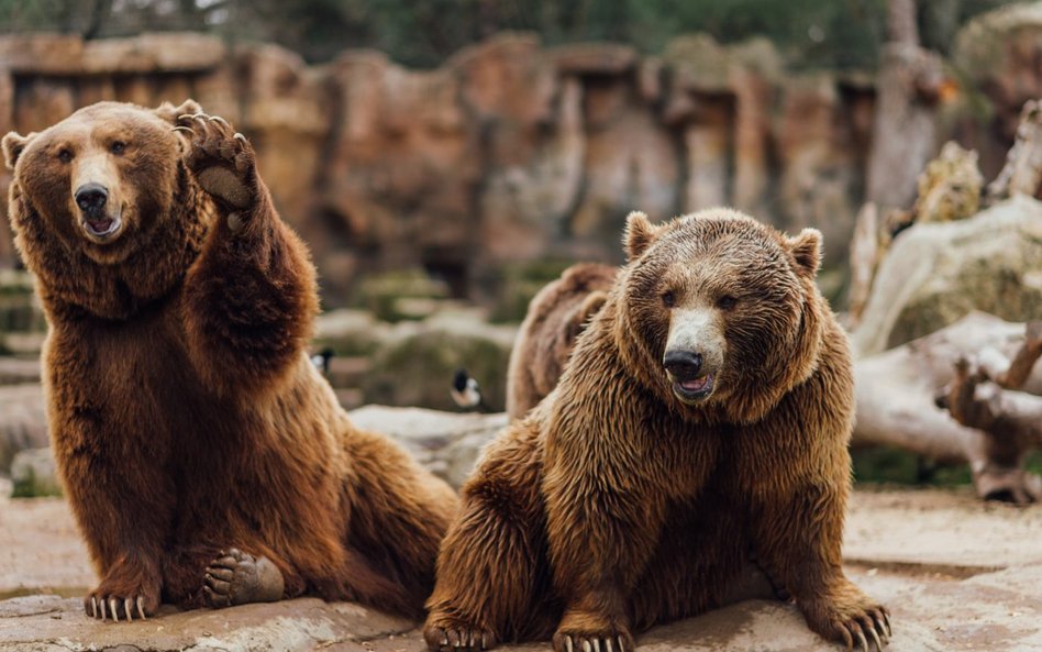 Wycieczka do zoo? Wcześniej umów się przez telefon