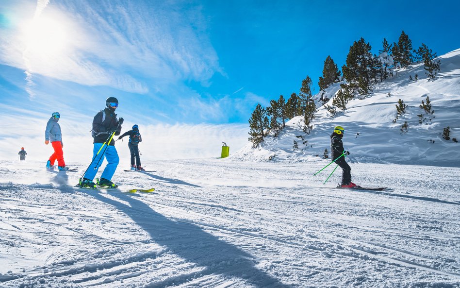 Zaległe zobowiązania firm zajmujących się wypożyczaniem i dzierżawą sprzętu rekreacyjnego i sportowe