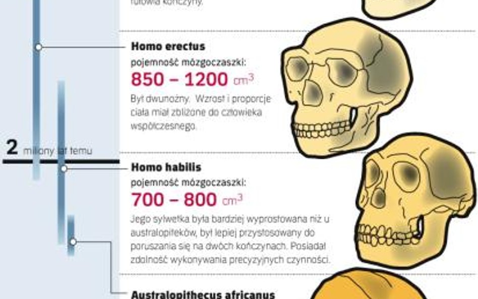 Człowiek rozwija się coraz szybciej