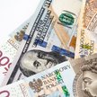 Złoty podatny na decyzje RPP i nastroje na rynkach globalnych