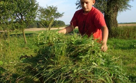 Rolnikom nie opłaca się pracować na umowie-zleceniu
