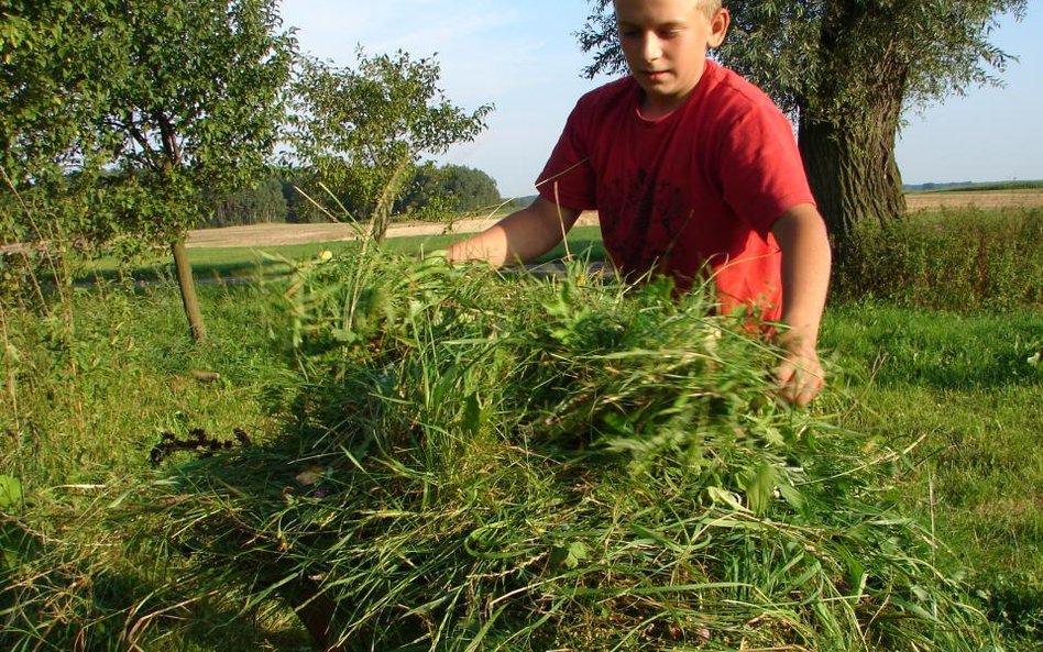 Dopłaty do rolnictwa na nowych zasadach