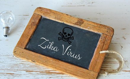W Brazylii odwołano stan wyjątkowy z powodu wirusa Zika