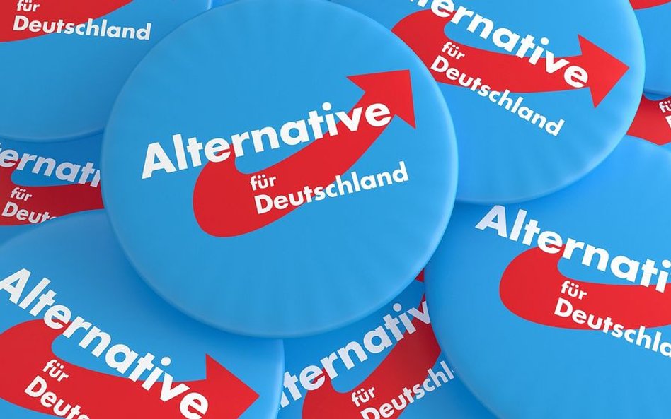 Alternatywa dla Niemiec (AfD) zmierza ku rozpadowi