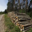 Lasy Państwowe realizują misję publiczną dla dobra społeczeństwa