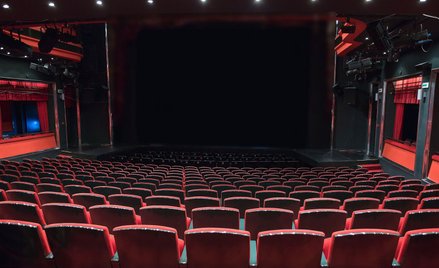 Skarbówka nie ulży teatrom i muzeom, odliczą tylko część VAT