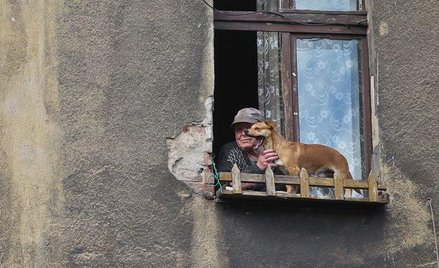 W kodeksie wykroczeń jest paragraf na właściciela uciążliwego psa